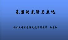 我想学克隆_200字