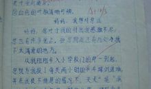 我喜欢看的书_150字