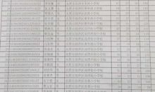 [小升初征文]苦茶_1500字