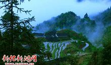 游古台山_1200字