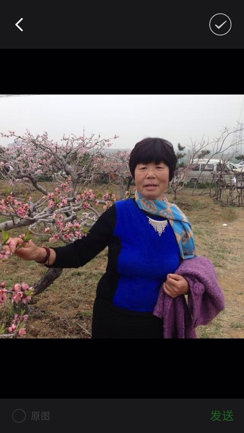 妈妈，我一生_1000字