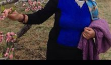 妈妈，我一生的感动_1000字