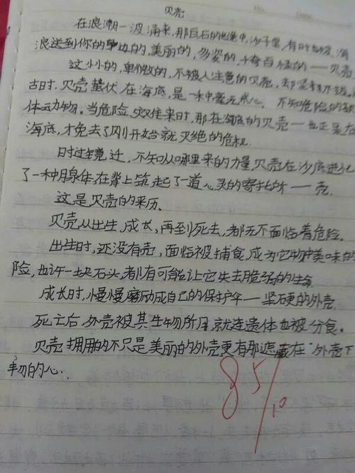 她经历的季节_300字