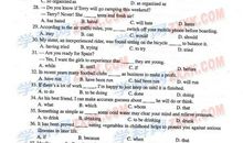 2004年高考上海卷满分作文：非典型忙碌_900字