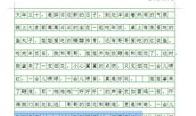 关于春节的作文：家乡的春节_900字