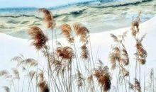 长记曾携手处，千树压、西湖寒碧。