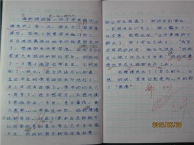 春节组成：春节_550字