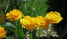 [自然--初三]多彩的雨_800字