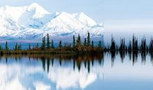 大自然的美_400字