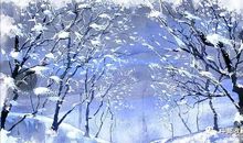 去岁江南见雪时，月底梅花发。