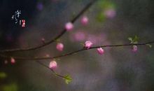 寻常一样窗前月，才有梅花便不同。