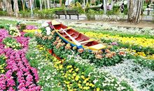 [2012暑期征文]常回家看看_1000字