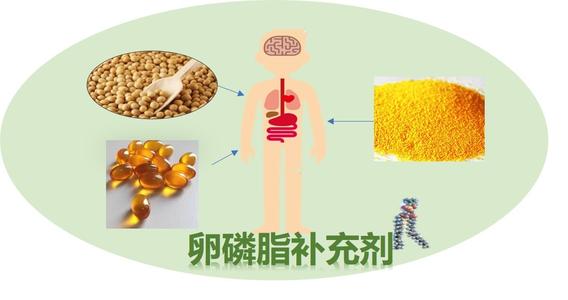 谈论“侠义” _650字