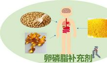 浅谈“侠义”_650字