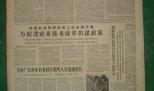 《中国青年》精彩语段摘抄_3000字