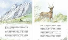 冰心《图画》片段_300字