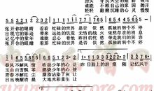 走走停停，只会更好_700字