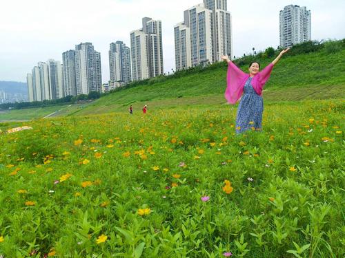 沉默的爱深深地刻在我的记忆中_700字
