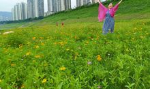 无声的爱,留在我记忆深处_700字