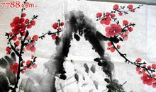 梅花和枇杷_400字