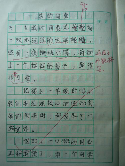 我的家乡_900字