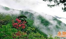 关于山的作文：奇特的山_300字