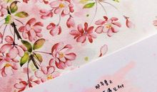 那年夏天_1200字