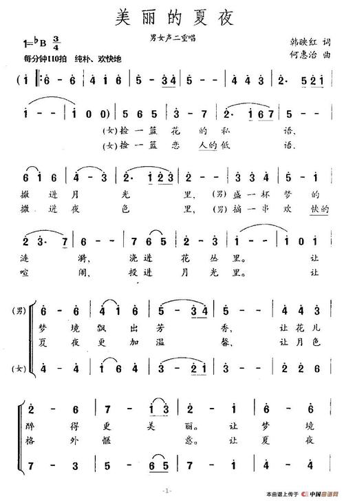美丽的夏日夜晚_800字