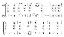 美丽的夏夜_800字