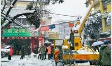 感恩优美段落：雪灾的感动段落_650字