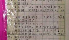 我考了第一名_100字