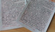 寒假征文：洗碗记_250字