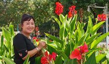 让文明之花尽情的开吧！_1500字