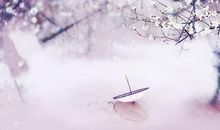 雨中的小伞_650字