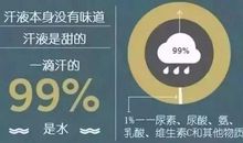 一张旧照片_350字