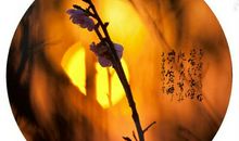 梅花散彩向空山，雪花随意穿帘幕。