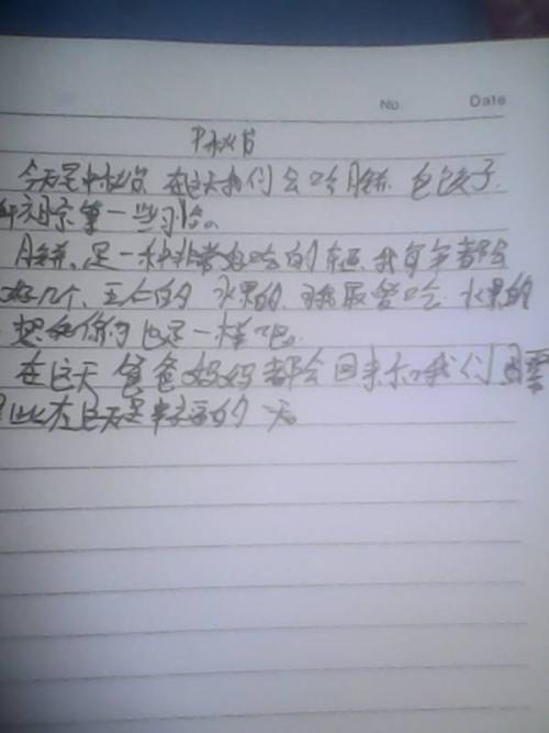 飞行天使日记_600字