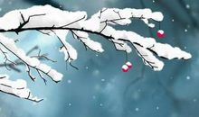 细看不是雪无香，天风吹得香零落。