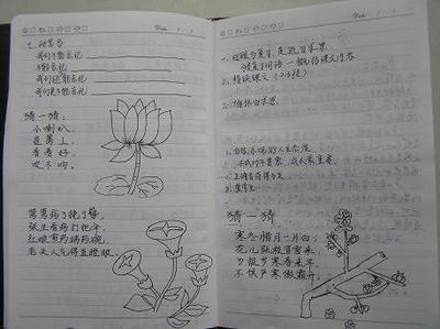 给老师的好句子：一个好的句子和一个很好的句子，描述了老师的外貌_650个单词
