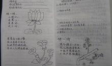 老师好段好句：描写老师外貌的好句好段_650字