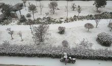 江涵雁影梅花瘦，四无尘、雪飞云起，夜窗如昼。