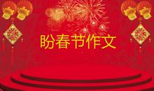 春节_450字