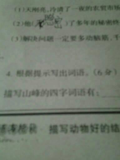 最美丽的照片_100字
