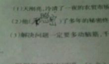 最美的照片_100字