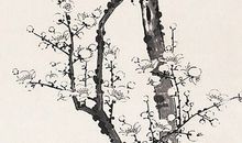 万树寒无色，南枝独有花。