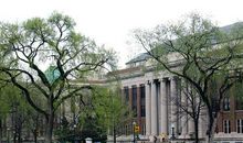 美丽的校园_250字