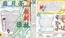 植树节手抄报（1）_20字