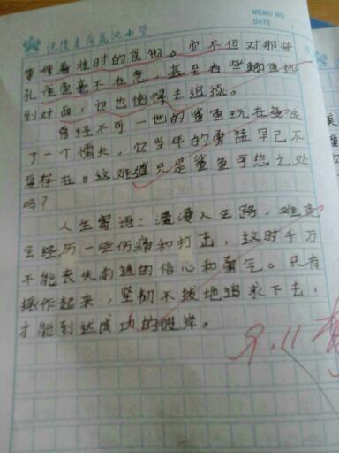 关于教室组成：我们的教室1200字