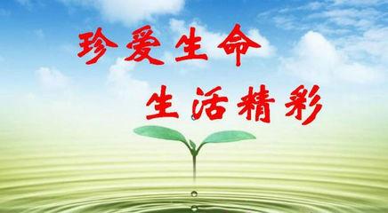 寻找生命的出口_800字