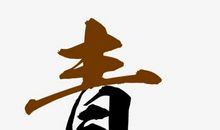 青春与飞翔_300字